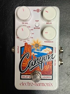 Canyon Delay & Looper Pedal - White